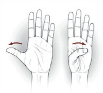 Extensão do polegar
